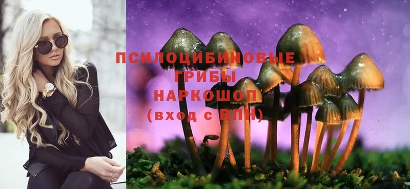 Псилоцибиновые грибы Cubensis  наркотики  Гаврилов Посад 